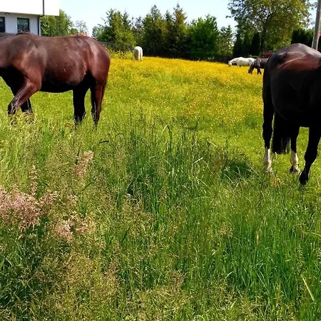民宿 Prywatne Lotnicza 别尔斯克-比亚拉