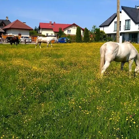 民宿 Prywatne Lotnicza 别尔斯克-比亚拉