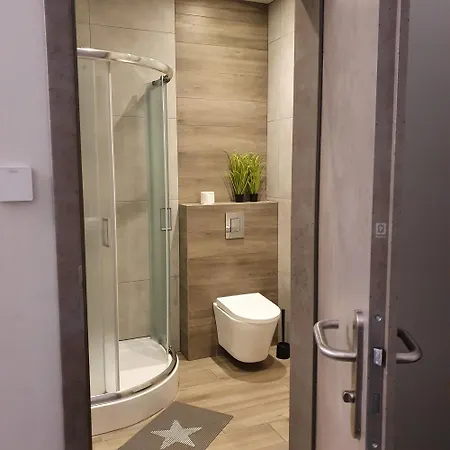 Prywatne Lotnicza * 别尔斯克-比亚拉