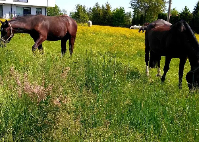 Homestay szállás Prywatne Lotnicza Bielsko-Biała