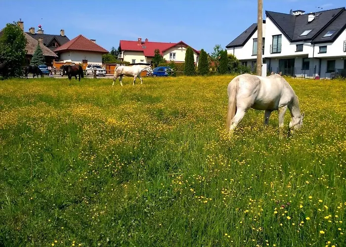 Homestay szállás Prywatne Lotnicza Bielsko-Biała